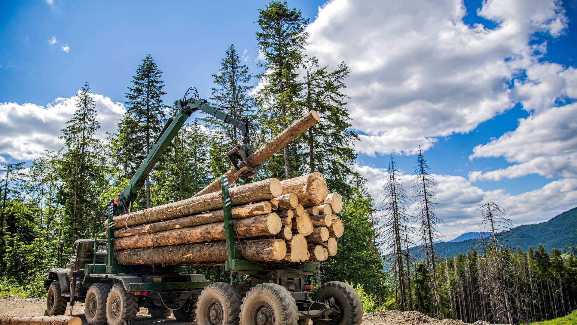 Camión forestal con grúa cargando troncos en una explanada del monte, con coníferas y montañas al fondo