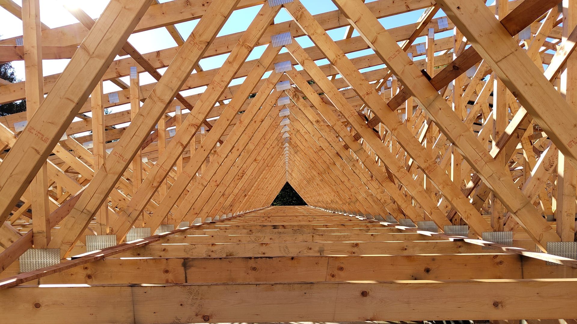Cerchas de madera de una cubierta en construcción vistas desde el interior, con la luz entrando entre ellas