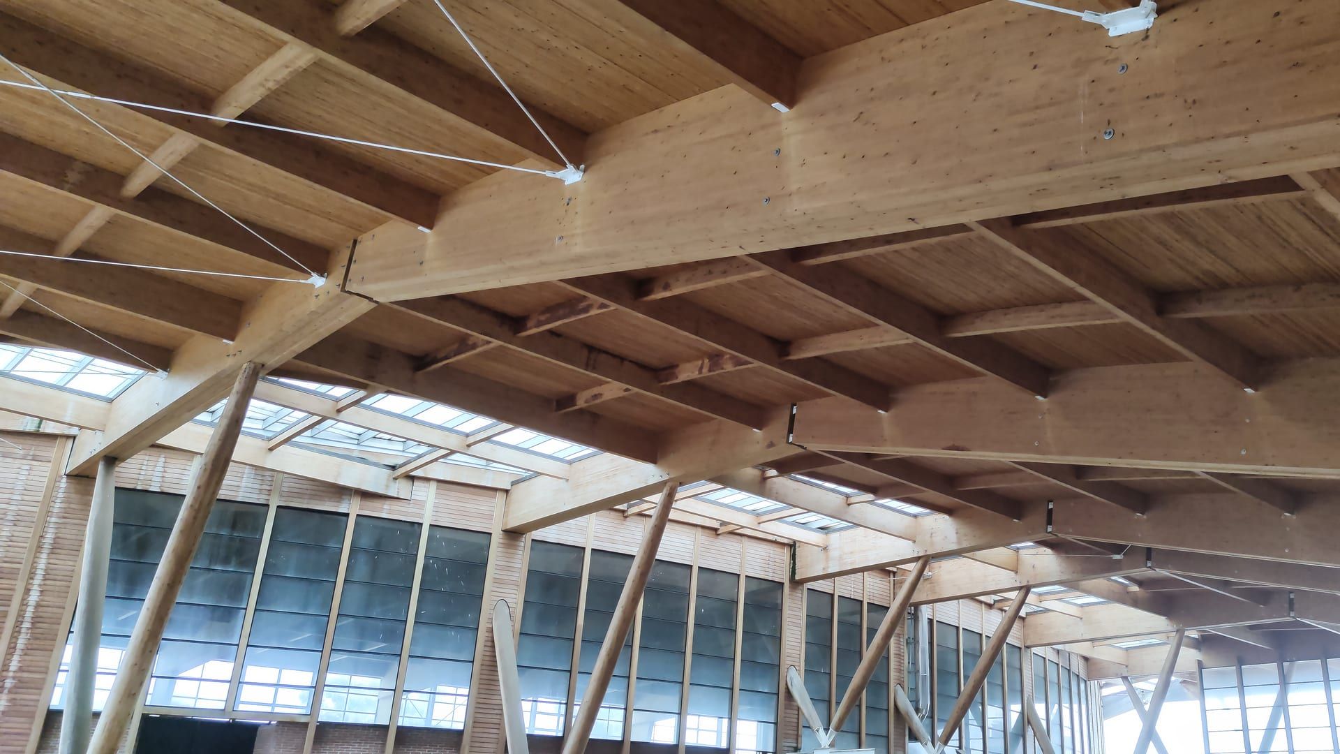Cubierta de una nave con vigas de madera laminada atirantadas con cables de acero, pilares de madera inclinados y ventanales corridos