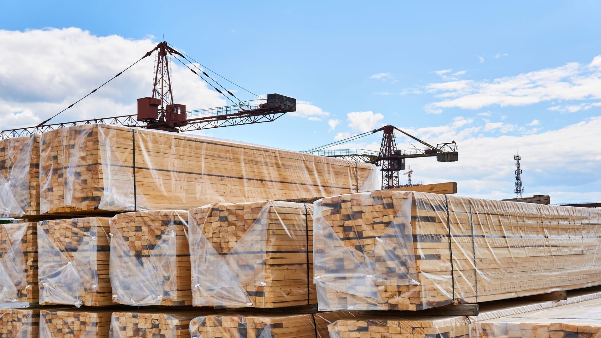 Paquetes de madera aserrada envueltos en plástico en el patio de una industria maderera, con grúas al fondo